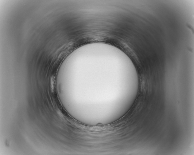 X0000103310026200808291202