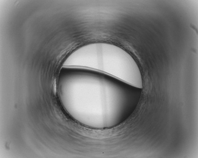 X0000103310027200808291202