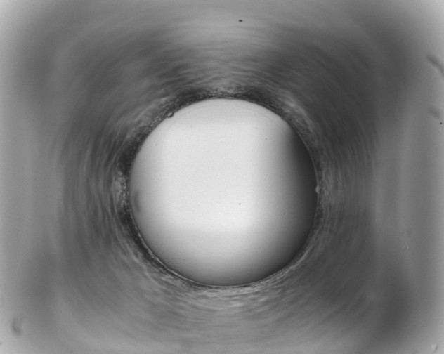X0000103310029200808291202