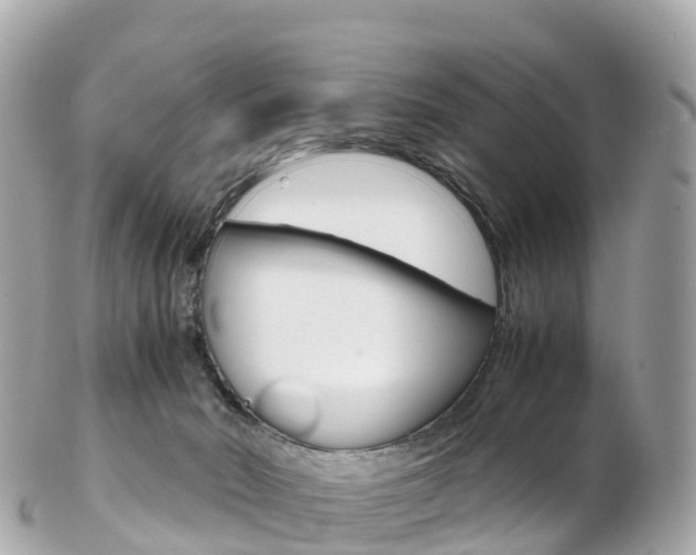 X0000103310030200808291202