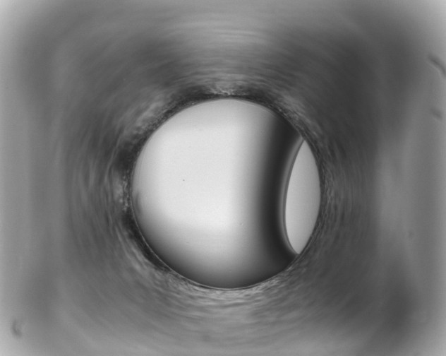 X0000103310031200808291202