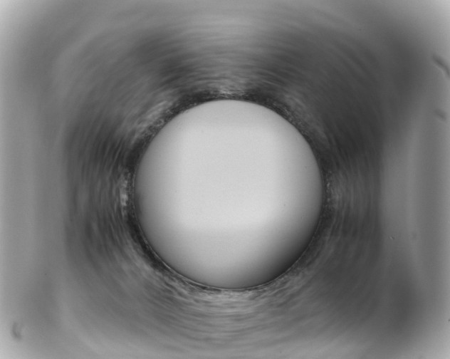 X0000103310032200808291202