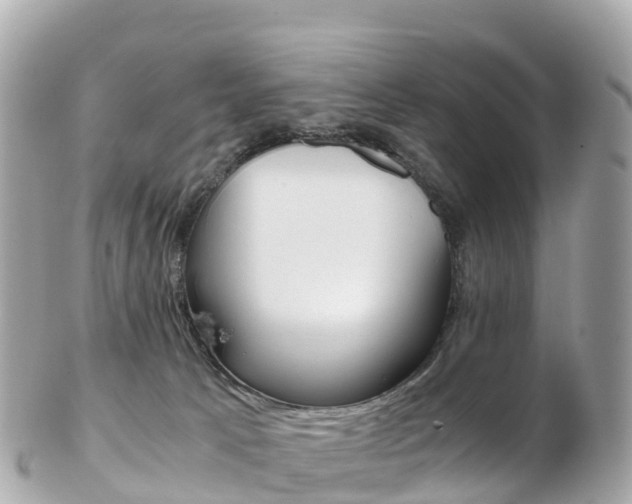 X0000103310033200808291202