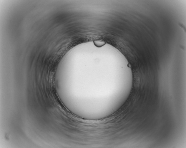 X0000103310034200808291202