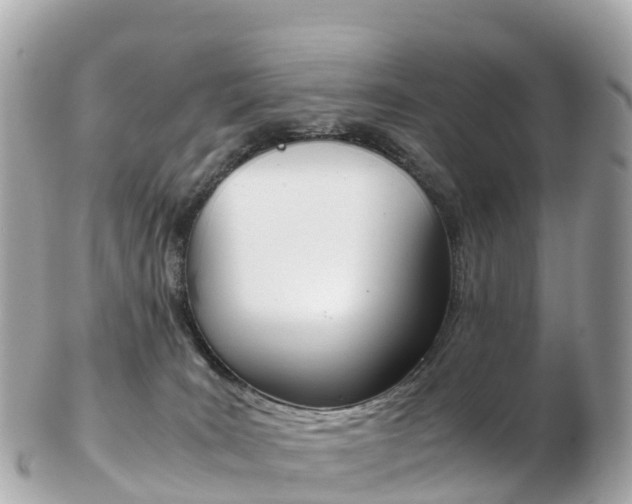 X0000103310035200808291202