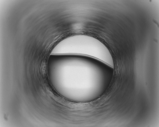 X0000103310036200808291202
