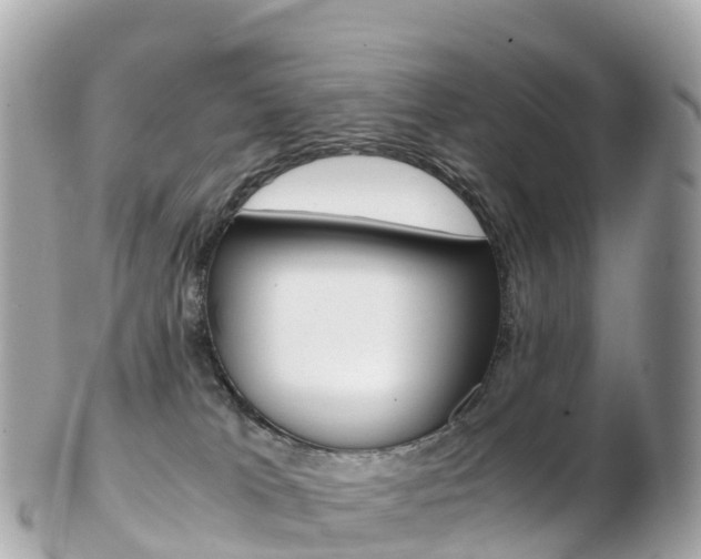 X0000103310037200808291202