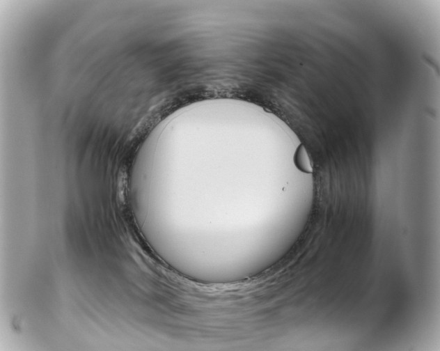 X0000103310038200808291202
