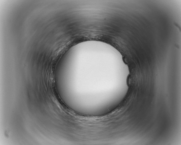 X0000103310040200808291202