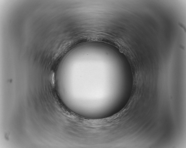 X0000103310041200808291202