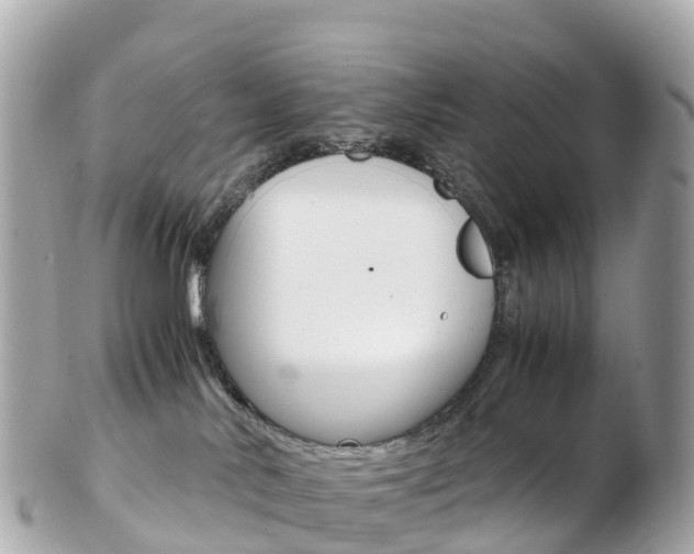 X0000103310042200808291202
