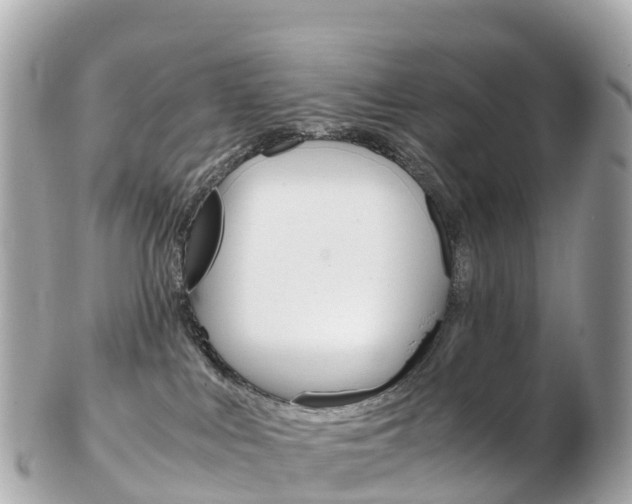 X0000103310043200808291202