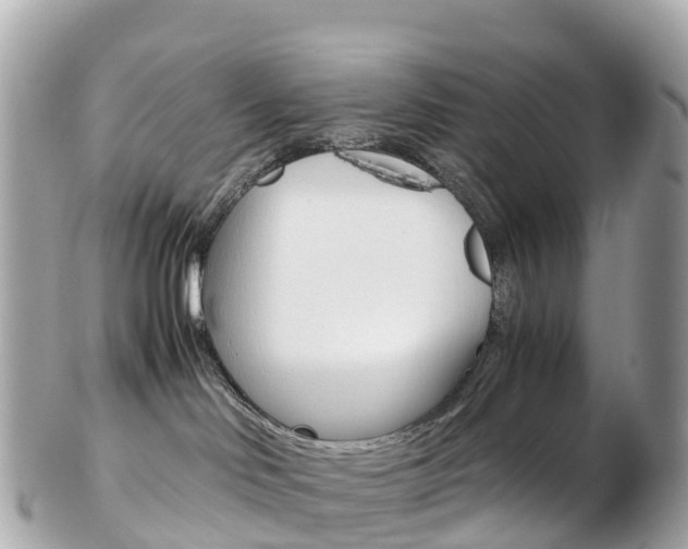 X0000103310046200808291202