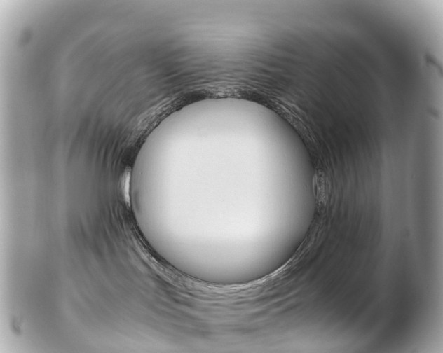 X0000103310047200808291202