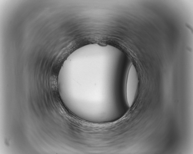 X0000103310048200808291202