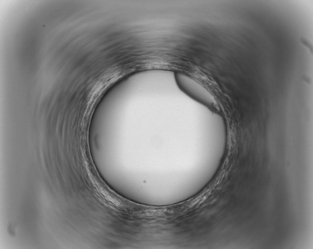 X0000103310049200808291201