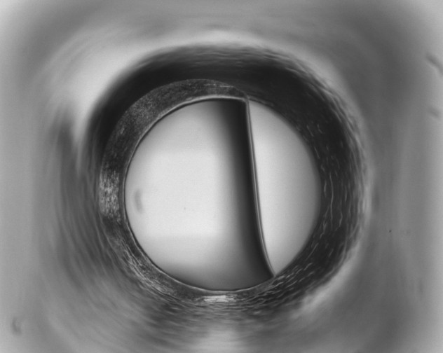 X0000103310050200808291201