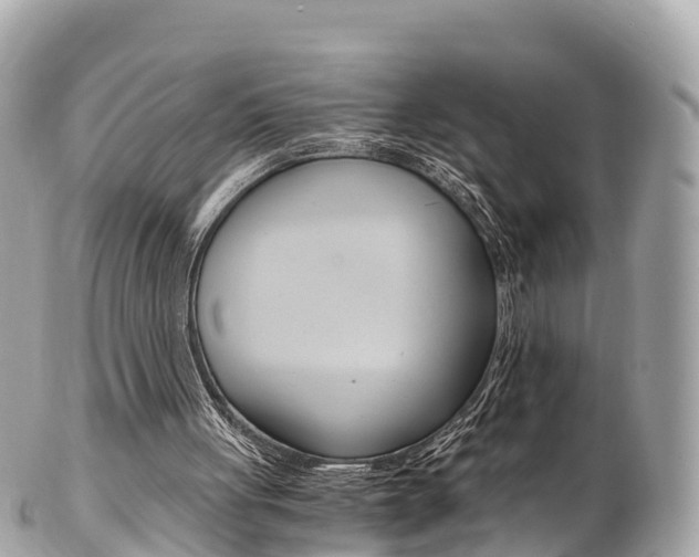 X0000103310051200808291201