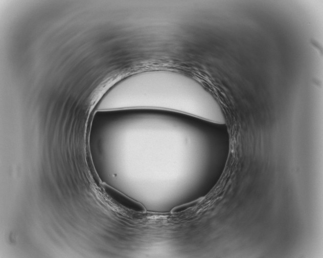X0000103310052200808291201