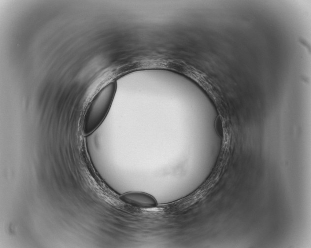 X0000103310053200808291201