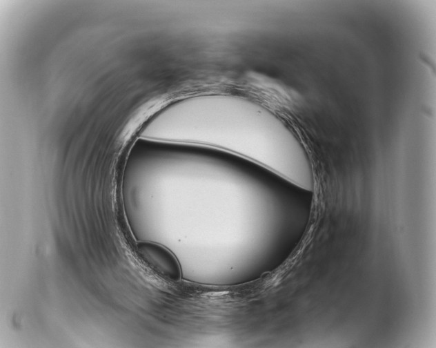 X0000103310054200808291201