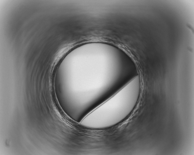 X0000103310055200808291201