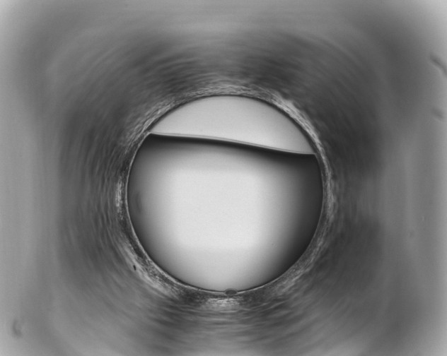X0000103310057200808291201