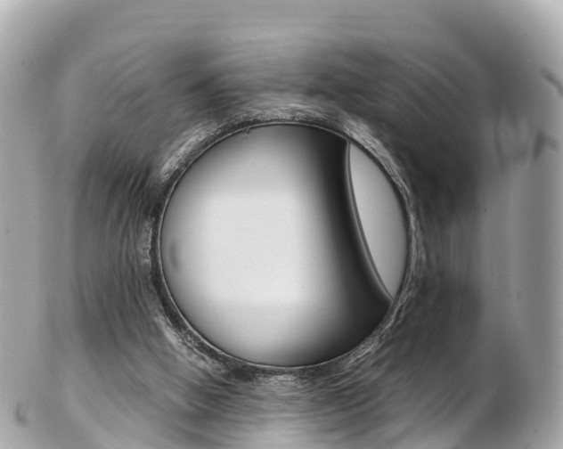 X0000103310058200808291201
