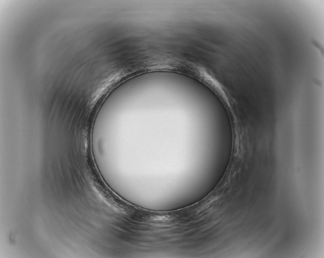 X0000103310059200808291201
