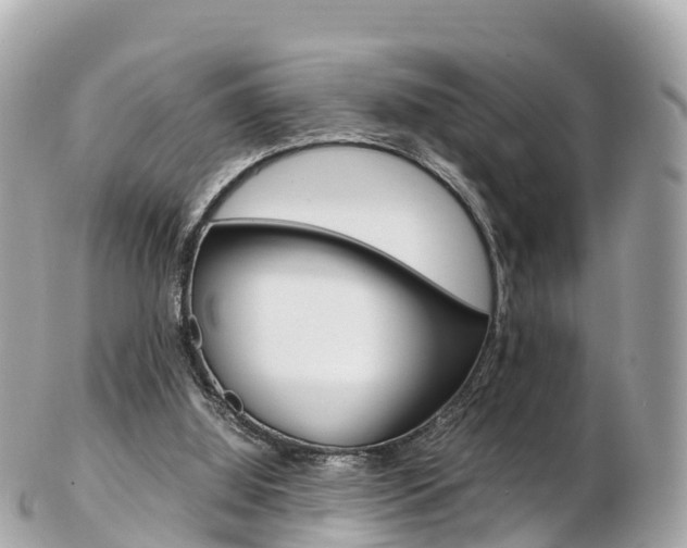 X0000103310060200808291201