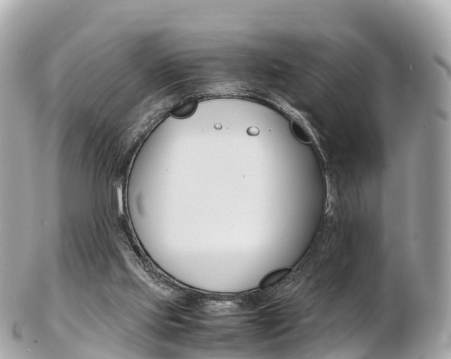 X0000103310061200808291202