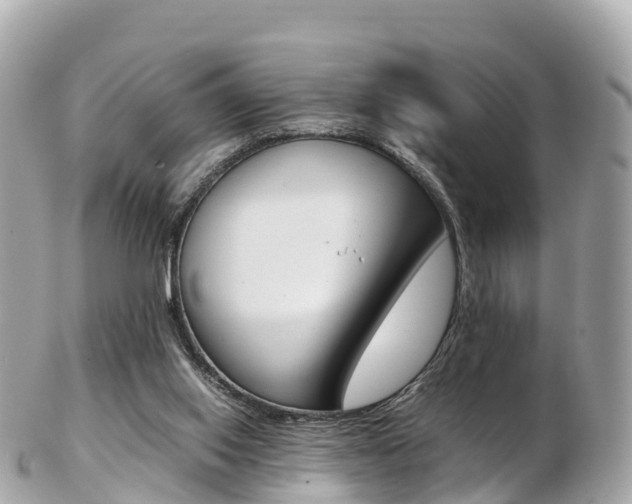 X0000103310062200808291202