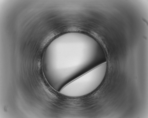 X0000103310063200808291202