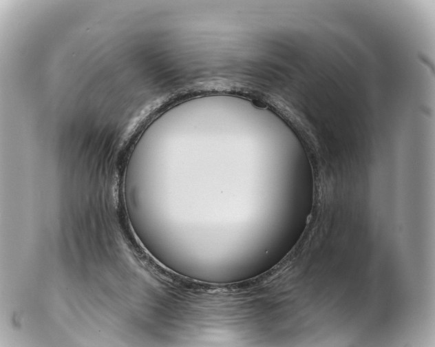 X0000103310064200808291202