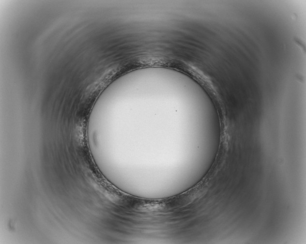 X0000103310065200808291202