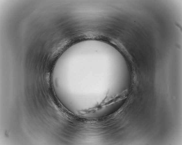 X0000103310066200808291202