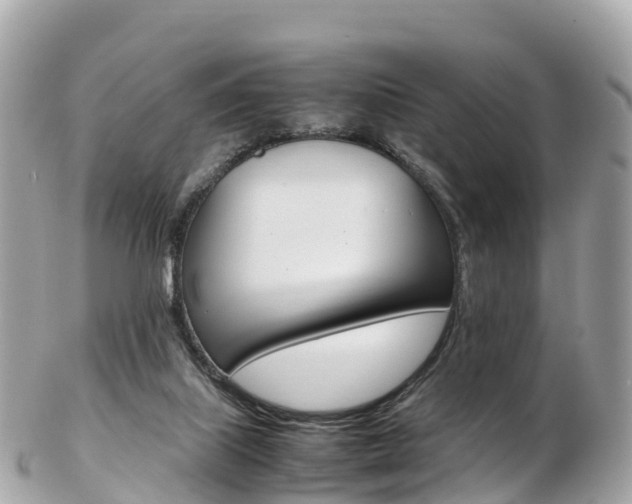 X0000103310067200808291202