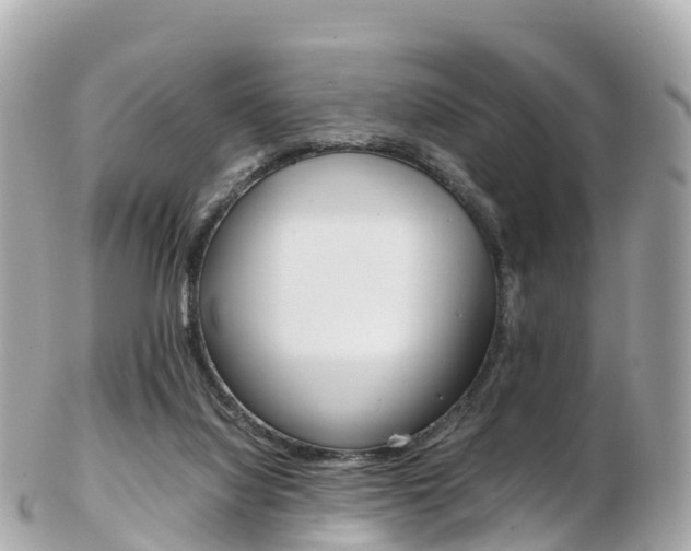 X0000103310068200808291202