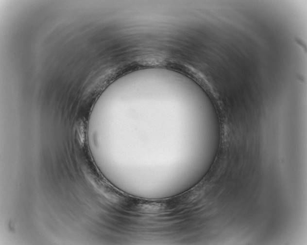 X0000103310069200808291202