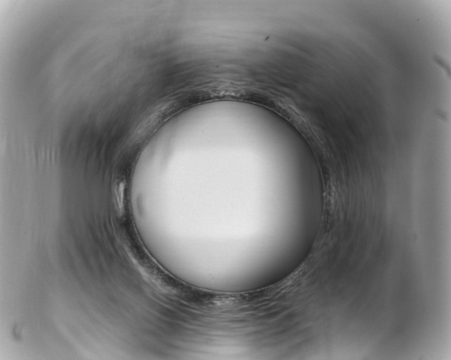 X0000103310070200808291202