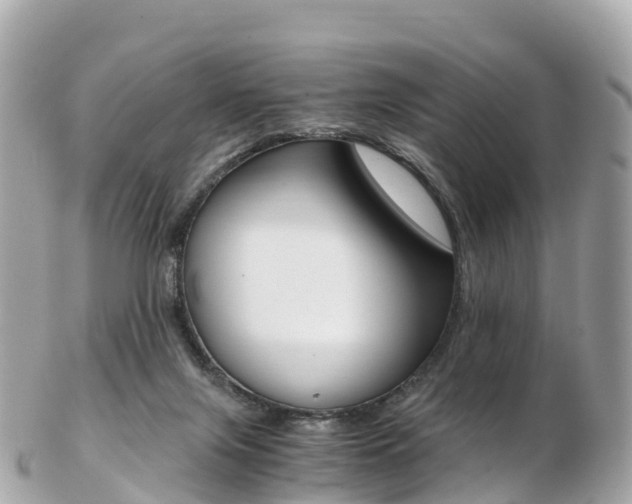 X0000103310071200808291202