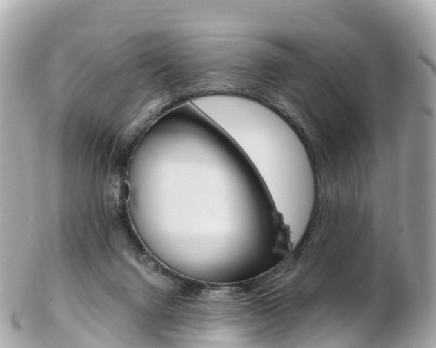 X0000103310072200808291202