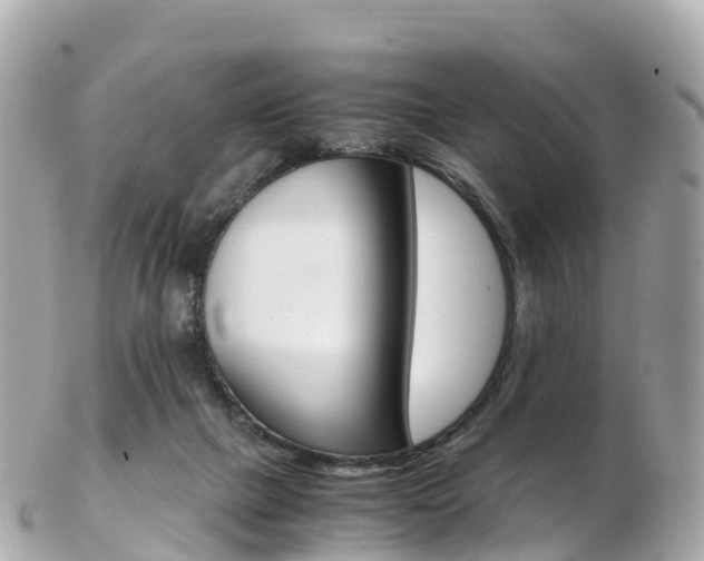 X0000103310073200808291202
