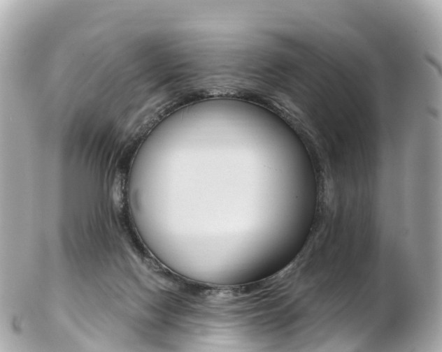 X0000103310074200808291202