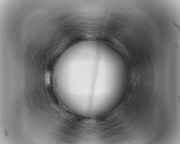 X0000103310075200808291202