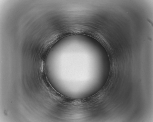 X0000103310076200808291202