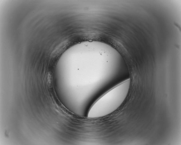 X0000103310077200808291202