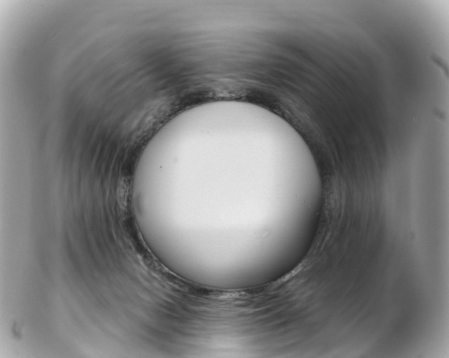 X0000103310078200808291202
