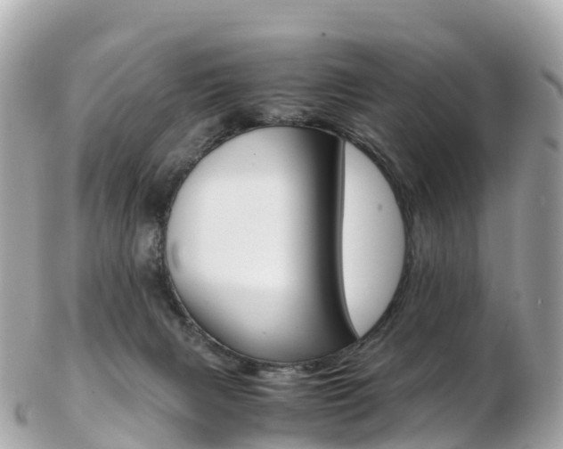 X0000103310079200808291202