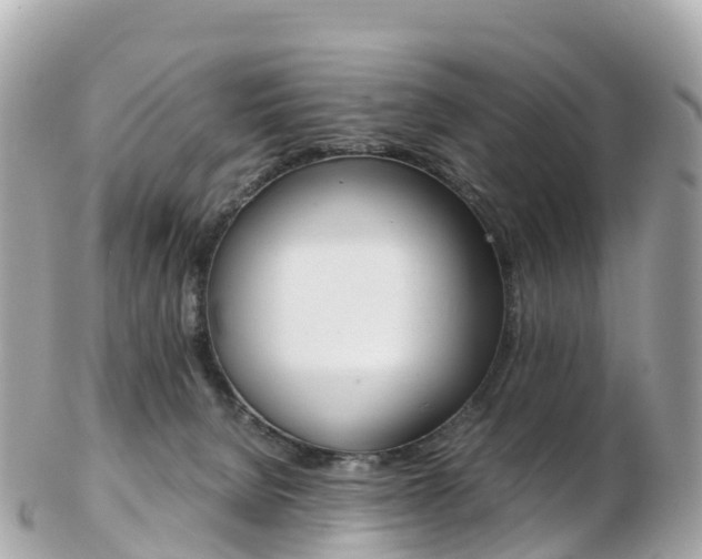 X0000103310080200808291202